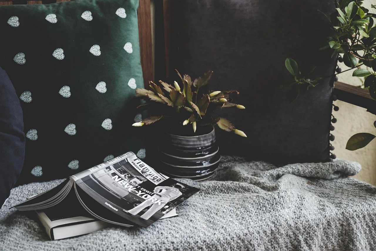 books, cozy, cushion, plant, photography books, design, home, decoration, balcony, nature, still life. What a trustworthy book nook kit maker actually publishes