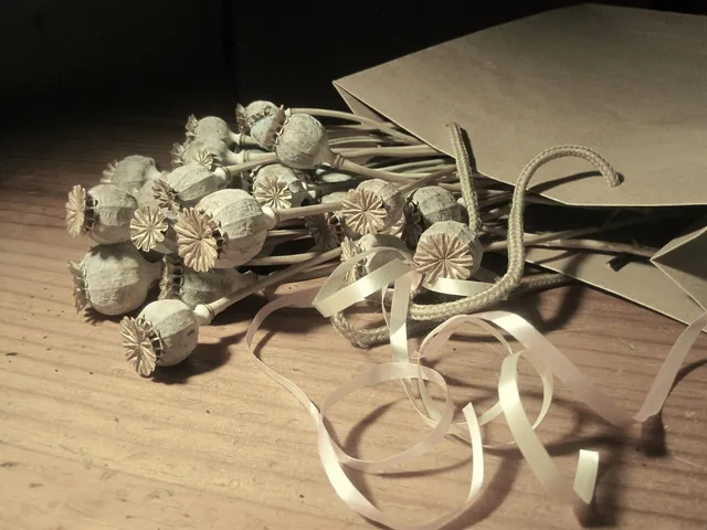 pods, seed, poppy, dry, bleached, paper packet, brown, ribbon, brown paper. How to store materials used for miniature room ideas: the honest picture