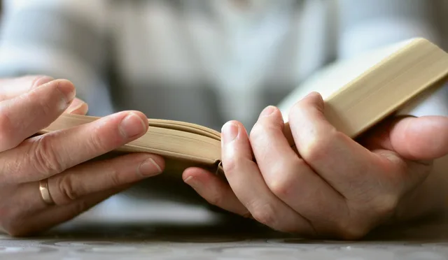 hands, a book, read, open book, bible, literature, book pages, to learn, to study, training, browse, pitched, bible, bible, bible, bible, bible. Price Handmade Book Nooks Canada: Costs and Examples