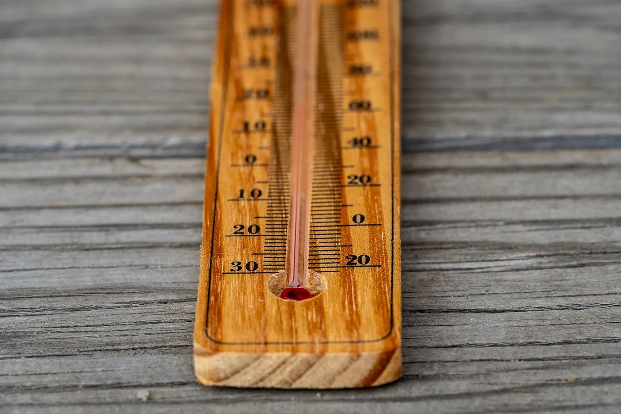 thermometer, temperature, climate, weather, measurement, tool, thermometer, thermometer, thermometer, thermometer, thermometer. 3 Canadian climate zones and what each means for storing miniature materials
