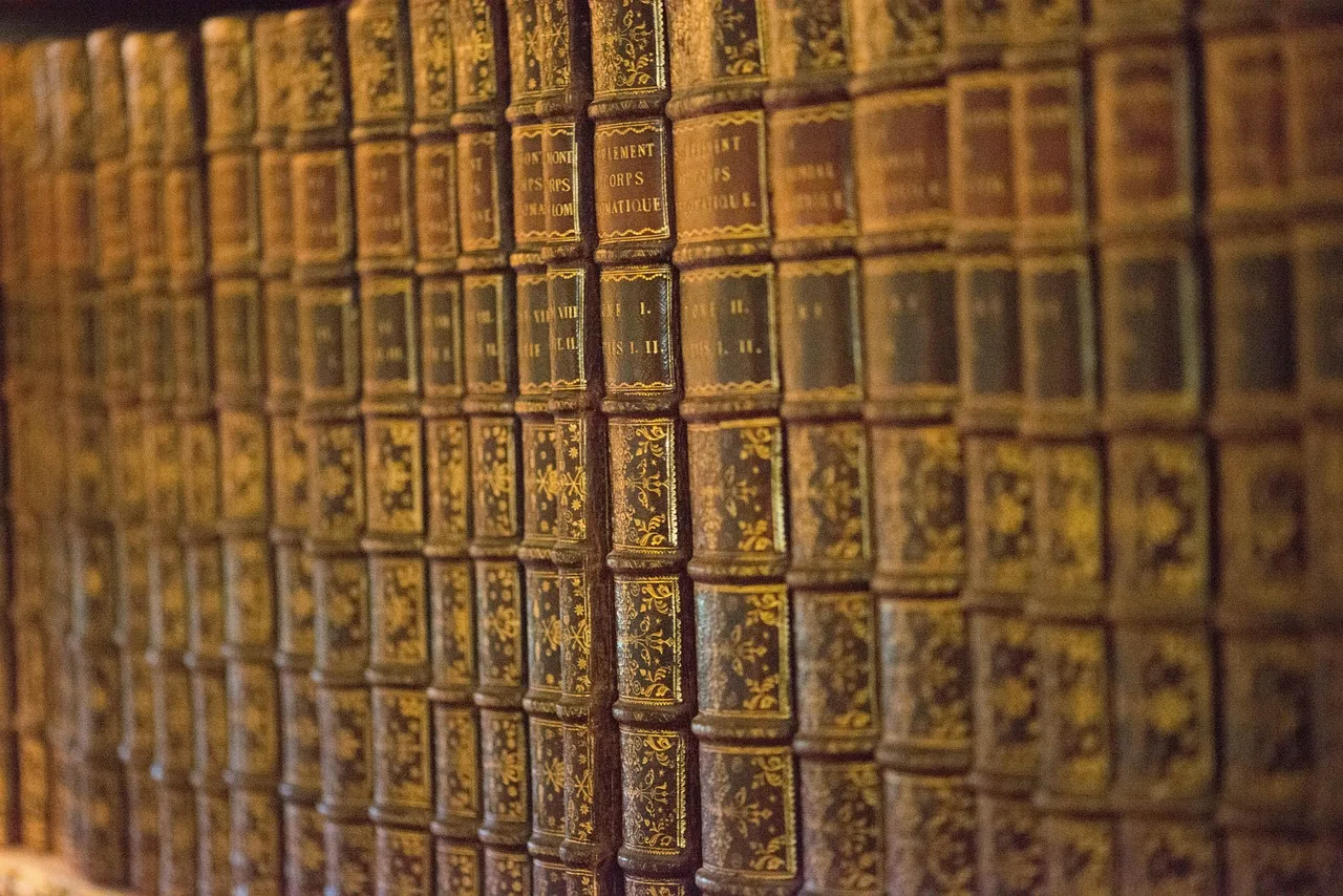 books, bookshelf, library, row, narrow, depth, field, brown book, brown books, brown library, brown field. Standard US Bookshelf Depth and the Book Nook Depth That Fits