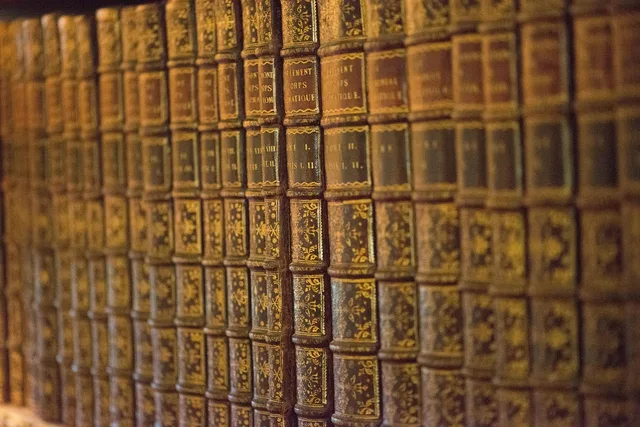 books, bookshelf, library, row, narrow, depth, field, brown book, brown books, brown library, brown field. Standard US Bookshelf Depth and the Book Nook Depth That Fits